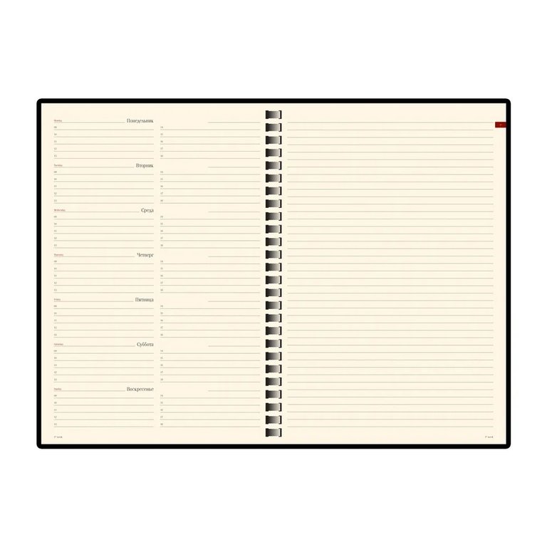 Еженедельник без дат 148*210 мм Bruno Visconti "Concept" на гребне, синий