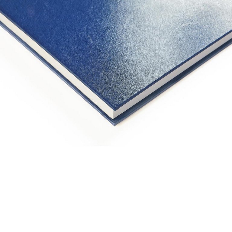 Ежедневник без дат 145*216 мм Альт "Ideal New" синий