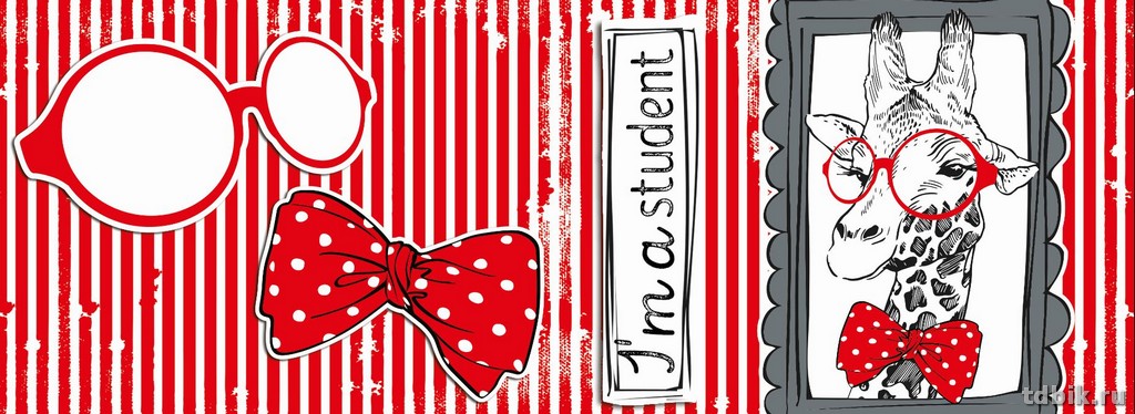 Обложка для зачетной книжки ПВХ 11,5*30 см "Жираф"