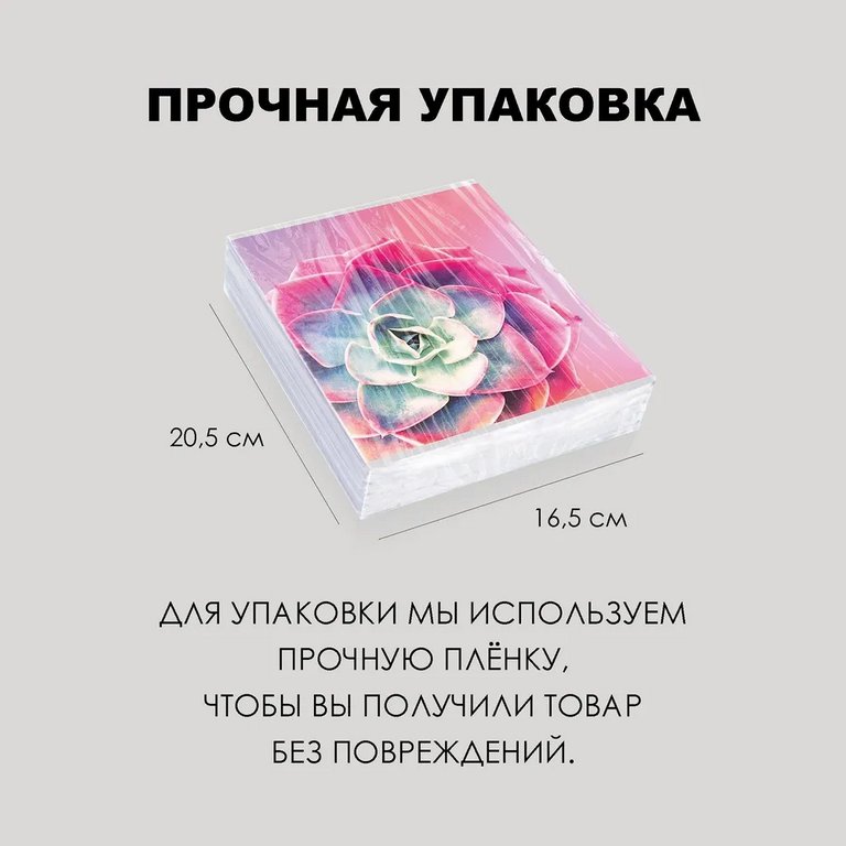 Тетрадь 96 лист кл. А5 на скрепке "Суккуленты"