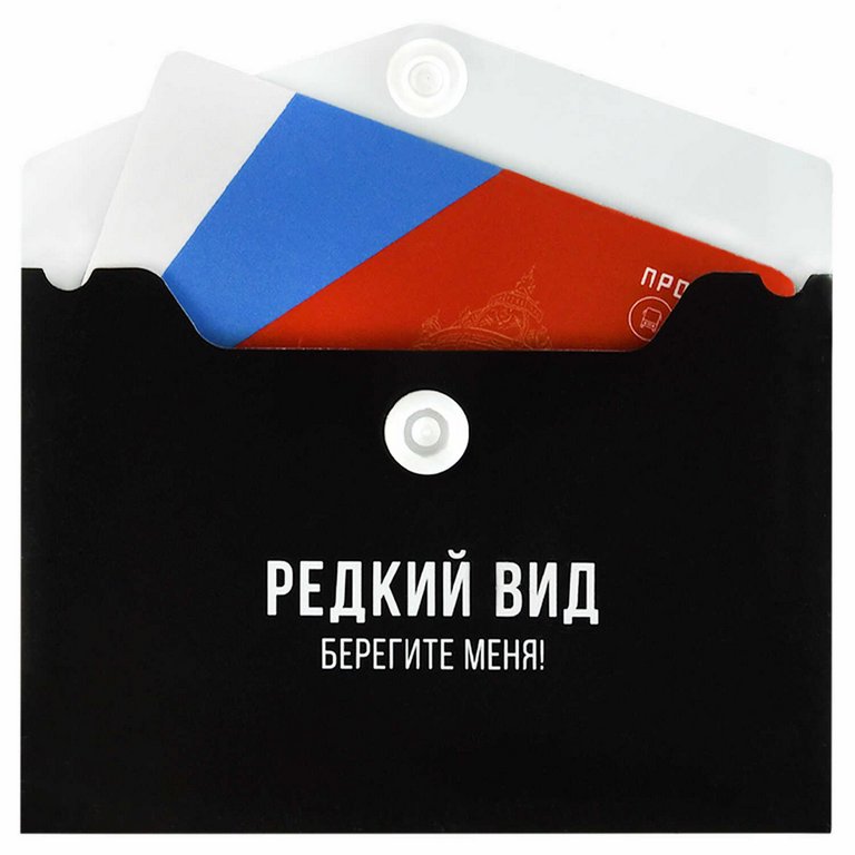 Папка-конверт на кнопке А7 (105x74 мм) пластик 0,18 мм "ФРАЗЫ С ХАРАКТЕРОМ" цв. черный