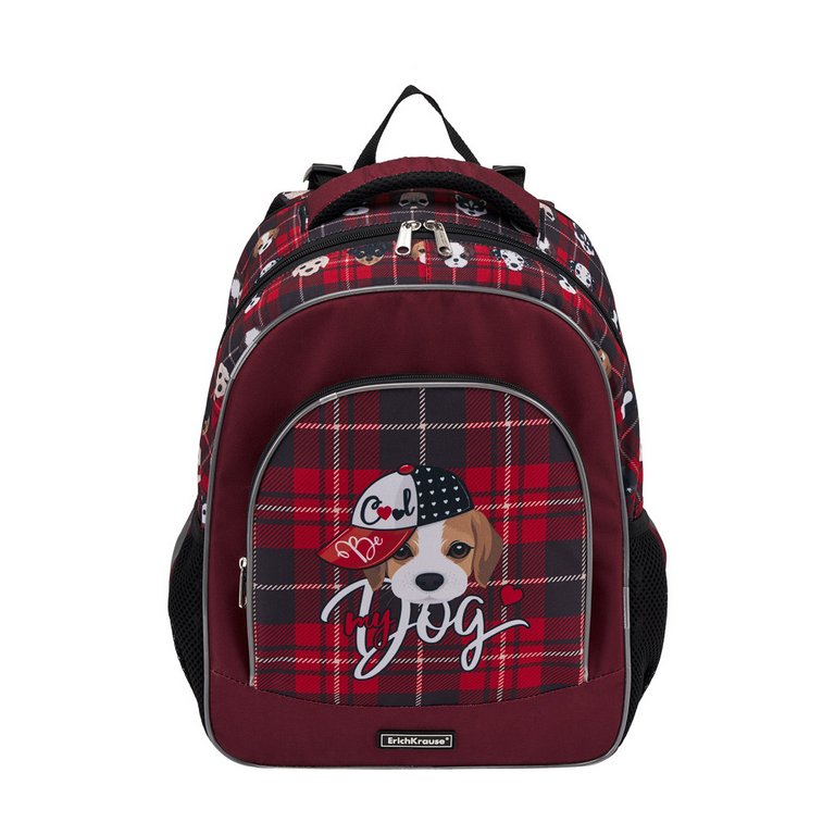 Рюкзак школьный для мальчика ErichKrause ErgoLine15L "Cute Dog" 39*28*14, красный