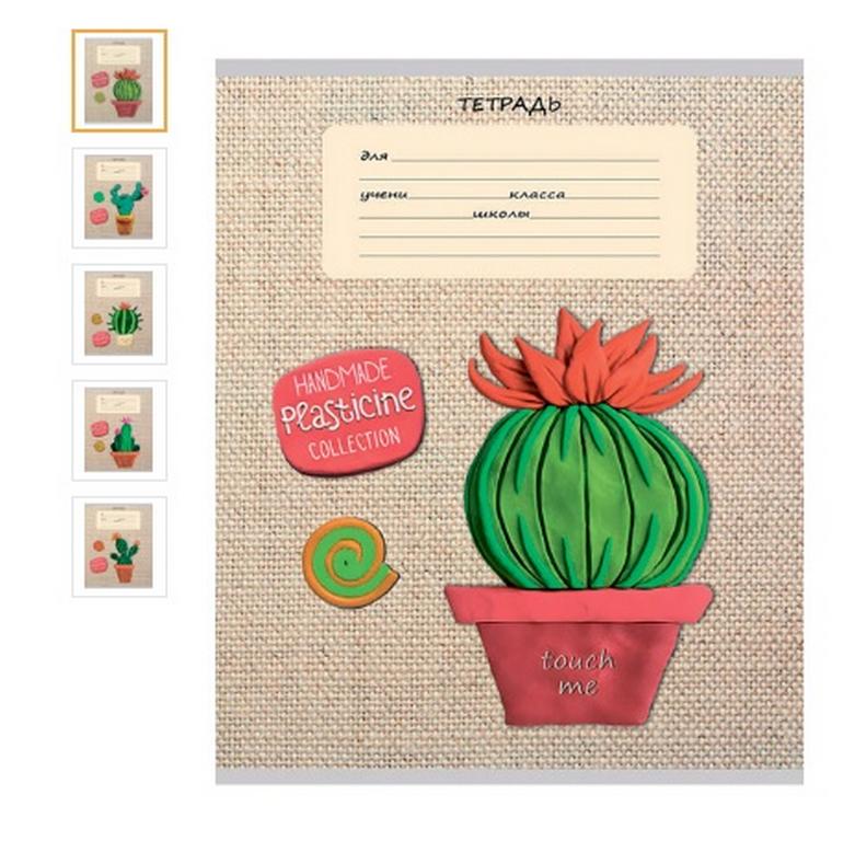 Тетрадь 18 лист кл. А5 "ПЛАСТИЛИНОВЫЕ КАКТУСЫ" мелов. обл. Profit