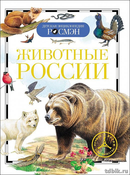 Энциклопедия 10+ "Животные России" 96стр, 235 х 175 x 7мм Росмэн