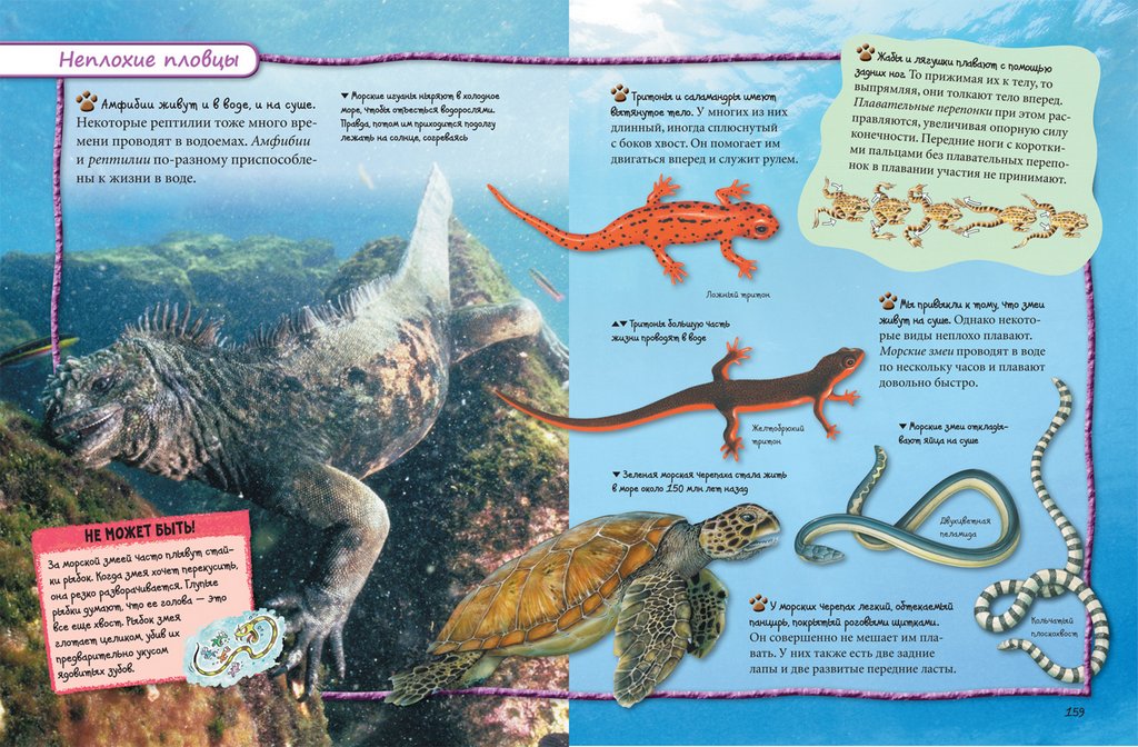 Энциклопедия "Всё обо всём. Энциклопедия интересных фактов" 7+ Росмэн