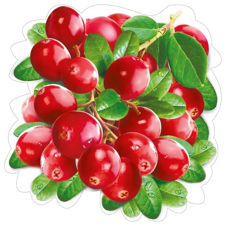 Наклейка оформительская на скотче осенняя 150*150мм "Осенняя ветка"