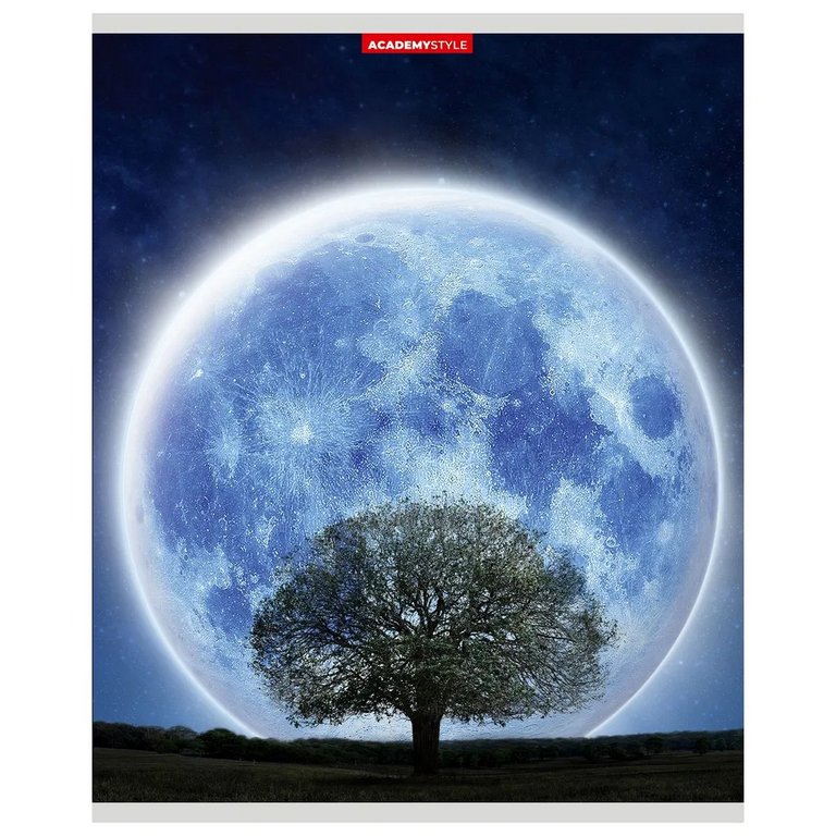 Тетрадь 80 лист кл. А5 на скрепке "Фантастическая Луна"