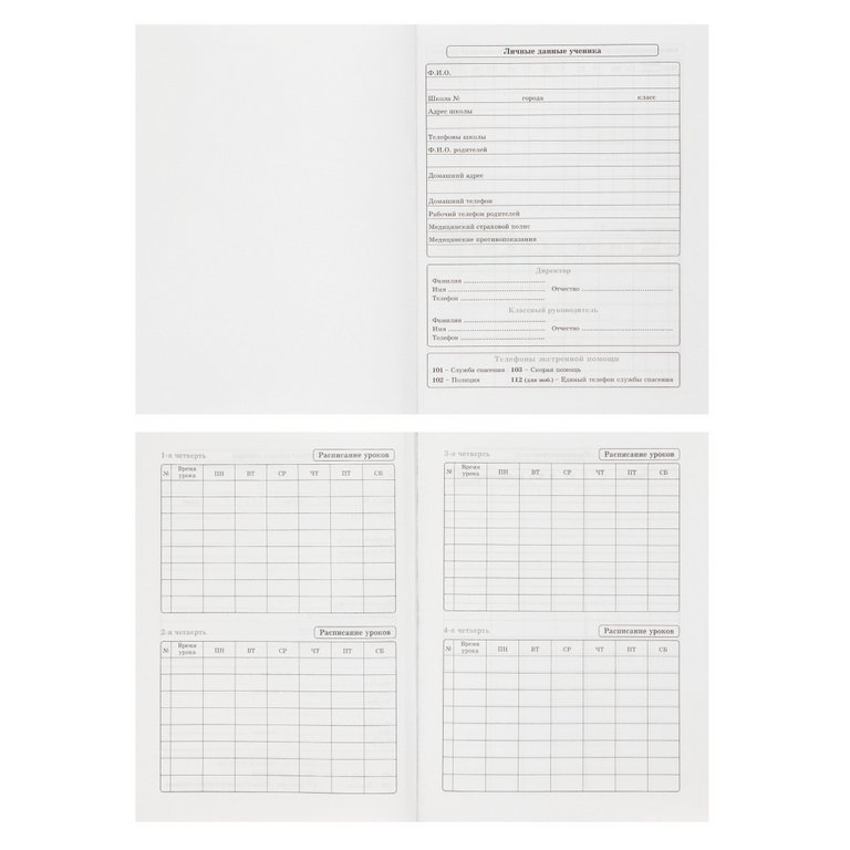 Дневник школьный Prof-Press твердая обложка, глянц. ламиню, лен "СОН СЕРОГО КОТА" 40л.