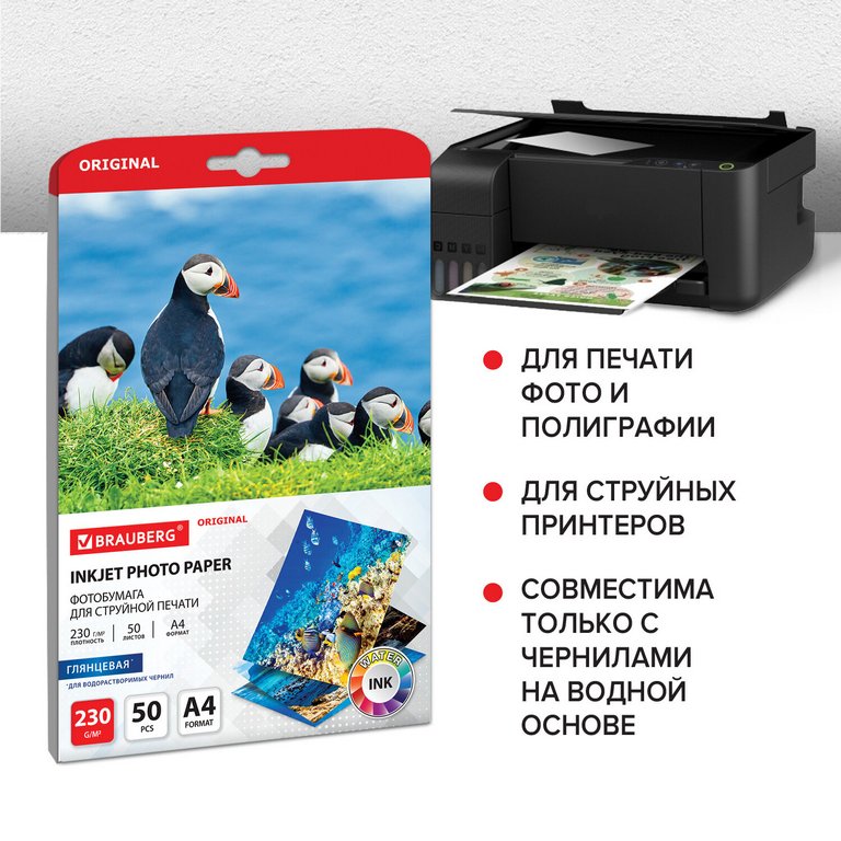 Фотобумага BRAUBERG А4 230г, 50 л/уп. глянец. односторонняя Фотобумага BRAUBERG А4 230г, 50 л/уп. глянец. односторонняя
