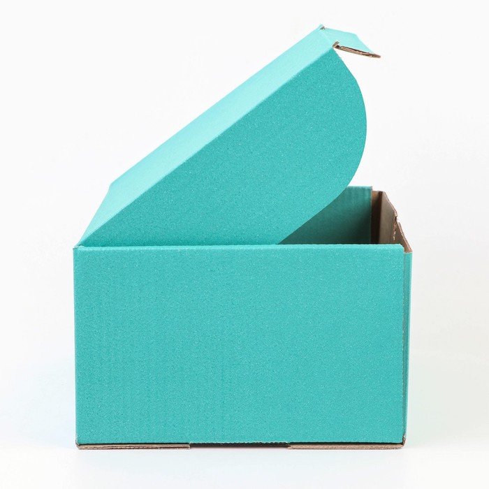 Коробка для подарков 22*16,5*9,5 см мятная