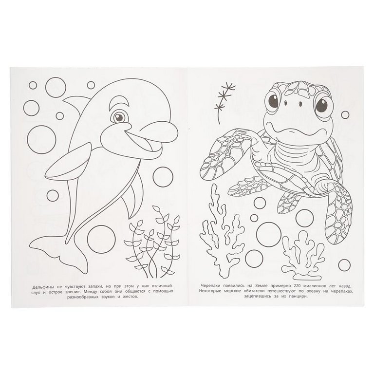 Раскраска А4 "Загадки моря" 16 стр. Умка