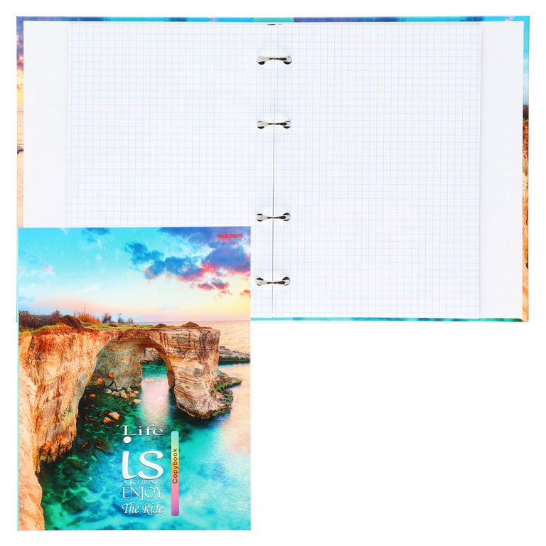 Тетрадь 100 лист кл. А5 на кольцах "ТВОРЕНИЕ ПРИРОДЫ"