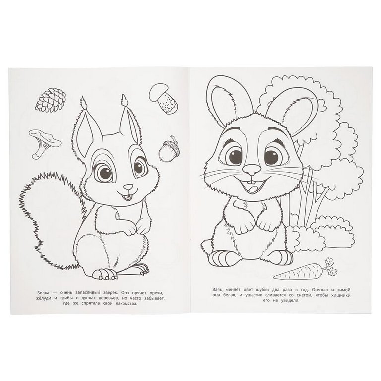 Раскраска А4 "Лесные жители" 16 стр. Умка