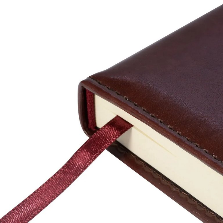 Ежедневник без дат 148*210 мм Bruno Visconti Prestige, коньяк