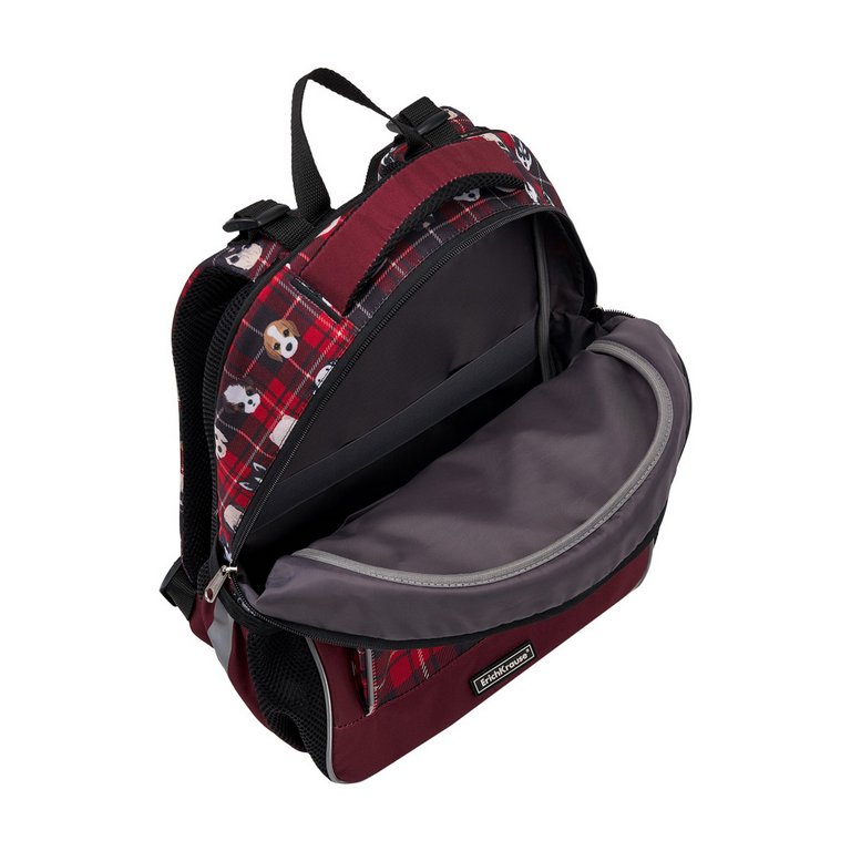 Рюкзак школьный для мальчика ErichKrause ErgoLine15L "Cute Dog" 39*28*14, красный