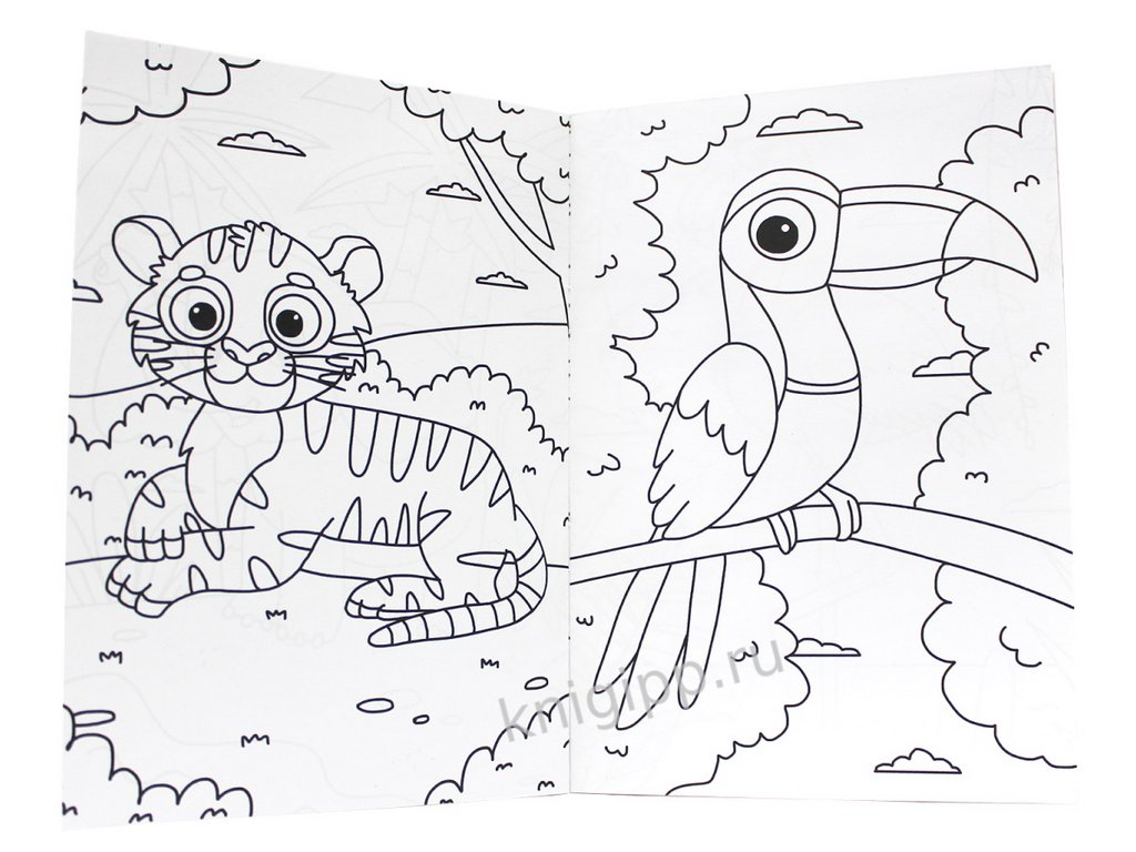 Раскраска А5 "Животные" ПРОФ-пресс