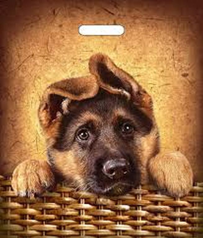 Пакет пробивной 40*47см (45 мкм) "Рекс" ПВД