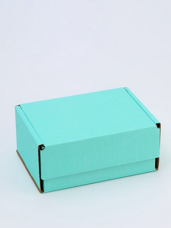 Коробка для подарков 22*16,5*9,5 см мятная