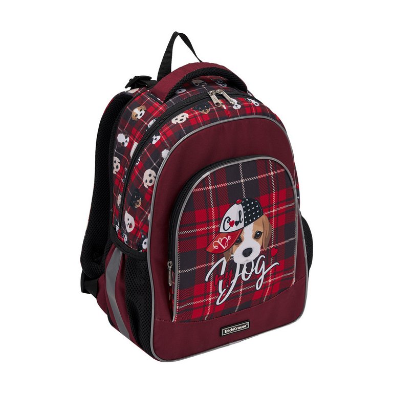 Рюкзак школьный для мальчика ErichKrause ErgoLine15L "Cute Dog" 39*28*14, красный