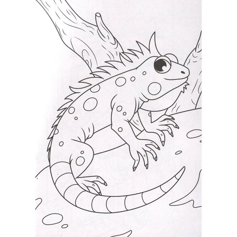 Раскраска А5 "Мои питомцы" 16 стр ПРОФ-пресс