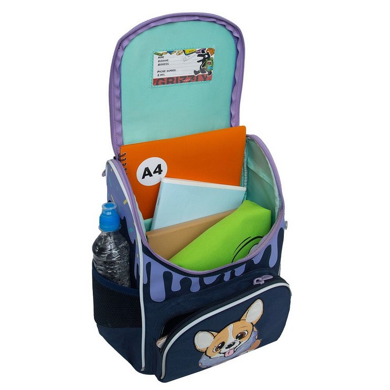 Ранец для девочки Grizzly + сумка д/обуви, 25*33*13см., синий