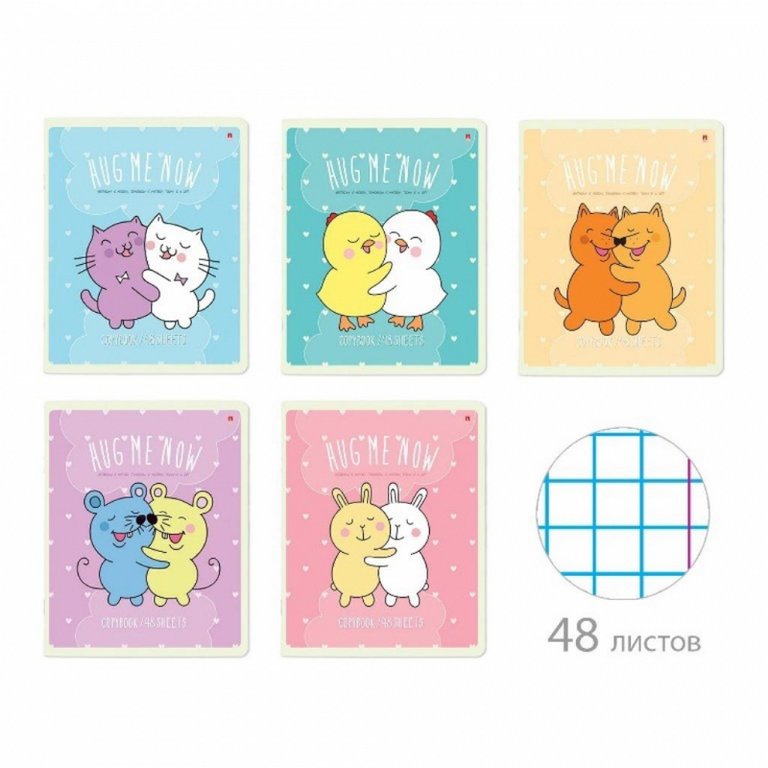 Тетрадь 48 лист кл. А5 на скрепке "ОБНИМАШКИ" 5 ВИДОВ