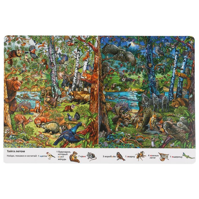 Книга детская Найди и покажи "Времена года" ( А4, 12 стр, картон, 700 картинок)  УМка