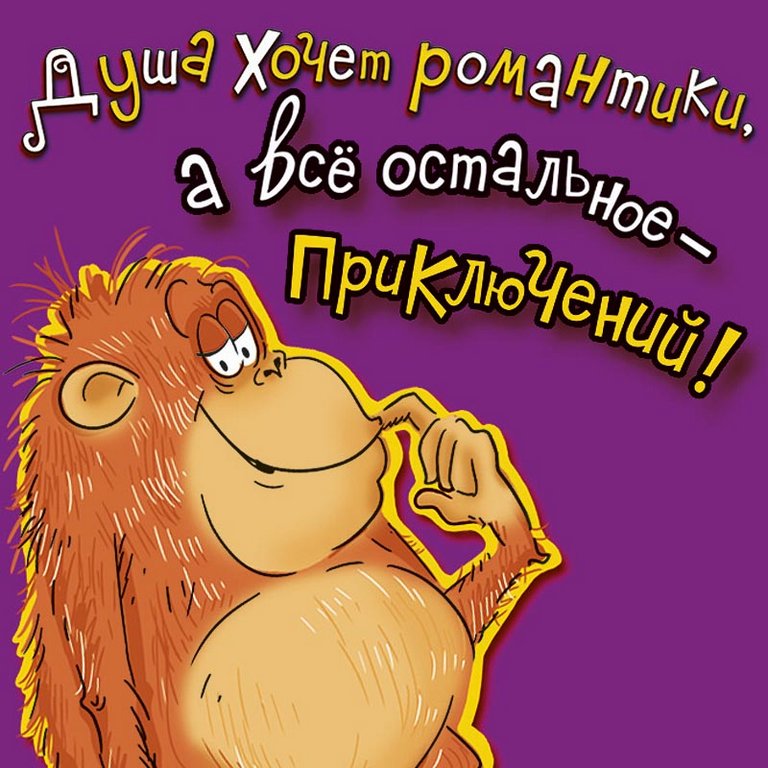 Магнит Позитивный "Душа хочет романтики..."