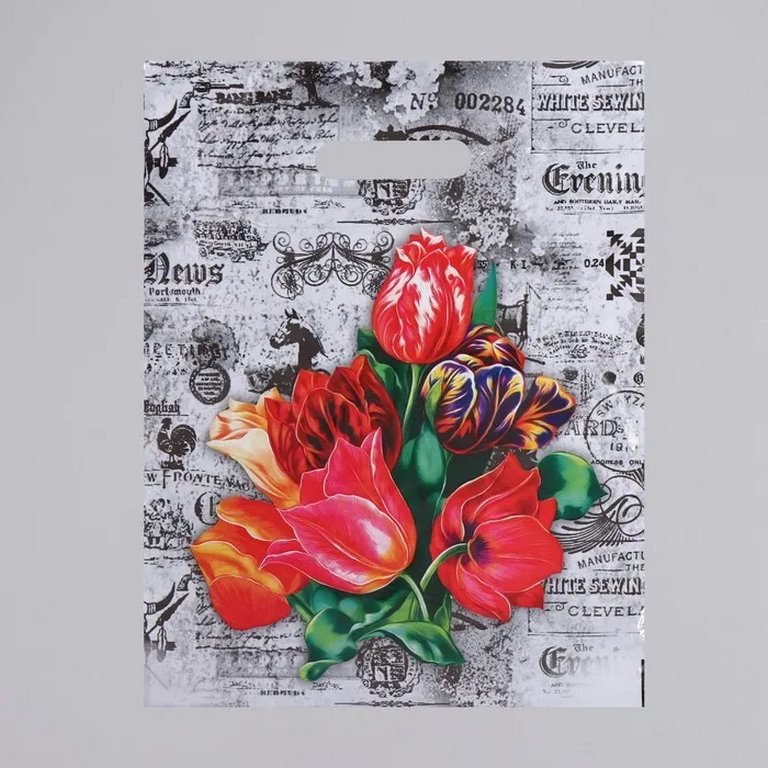 Пакет пробивной 30*40см (30мкм) "Бристоль"