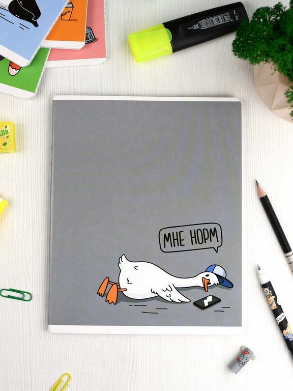 Тетрадь 48 лист кл. А5+ на скрепке "ГЕРОИ С ХАРАКТЕРОМ" 5 видов