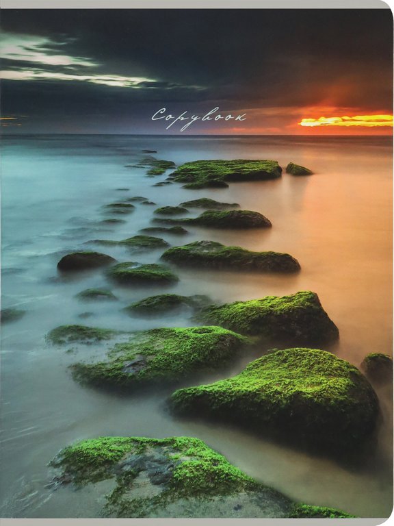 Тетрадь 96 лист кл. А4 на скрепке "ТУМАН НАД ВОДОЙ" Проф-Пресс