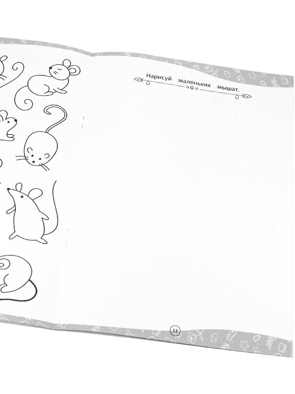 Раскраска А4 "Домашние питомцы" 12л ПРОФ-пресс