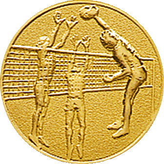 Эмблема для медали, металл. d=25мм "Волейбол"