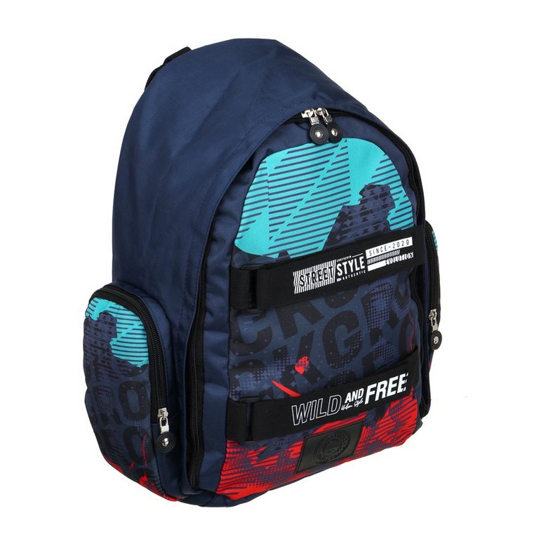 Рюкзак молодежный мужской 42*29*14см "Wild and Free" 1 отд., 2 карм.