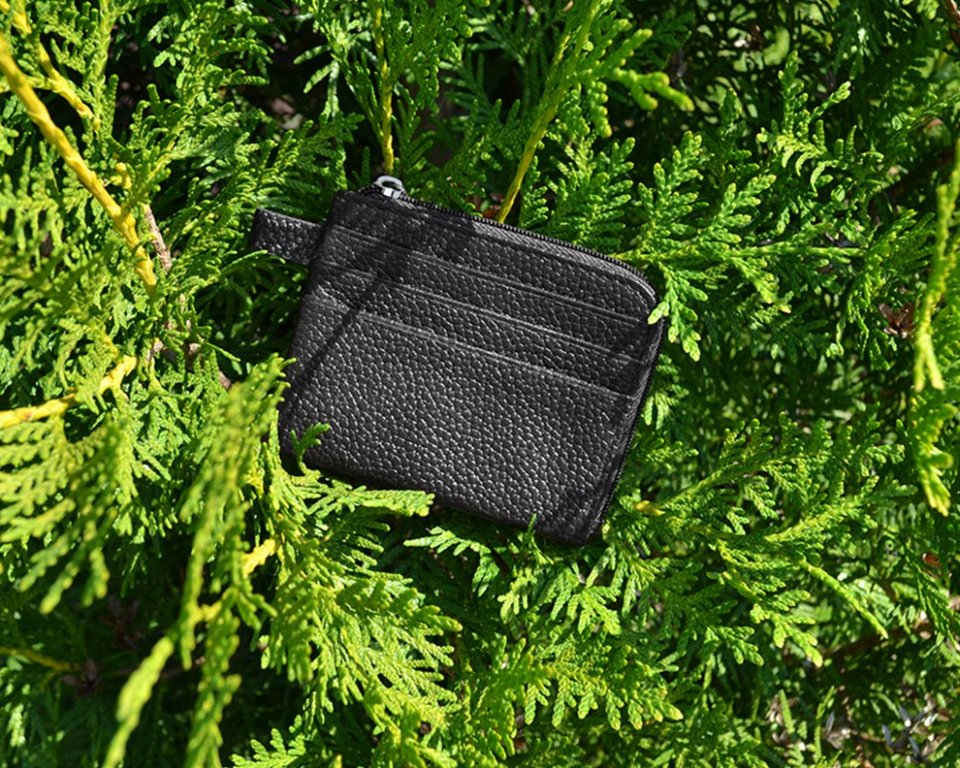 Картхолдер D.Morelli "Тефия" черный