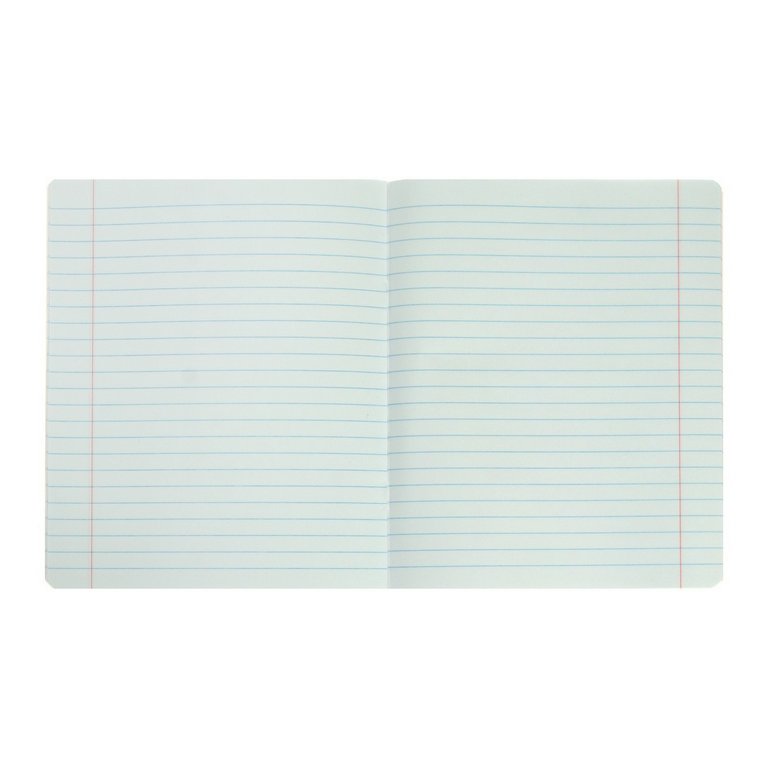 Тетрадь 18 лист лин. А5 "LOLLIPOP" 5 ВИДОВ