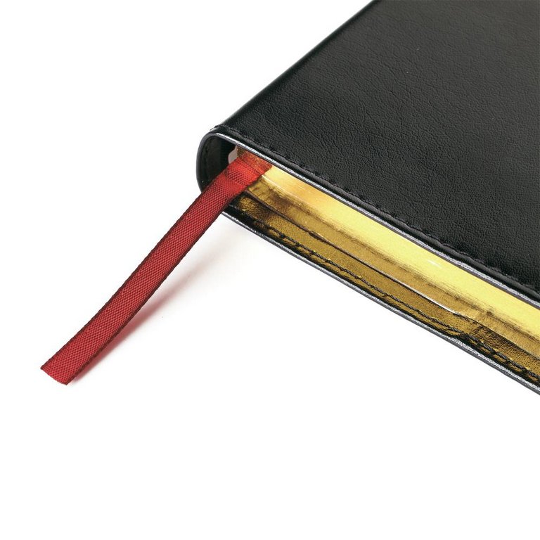 Ежедневник полудат. 148*210 мм Bruno Visconti "Profy", со сменным блоком, коричневый