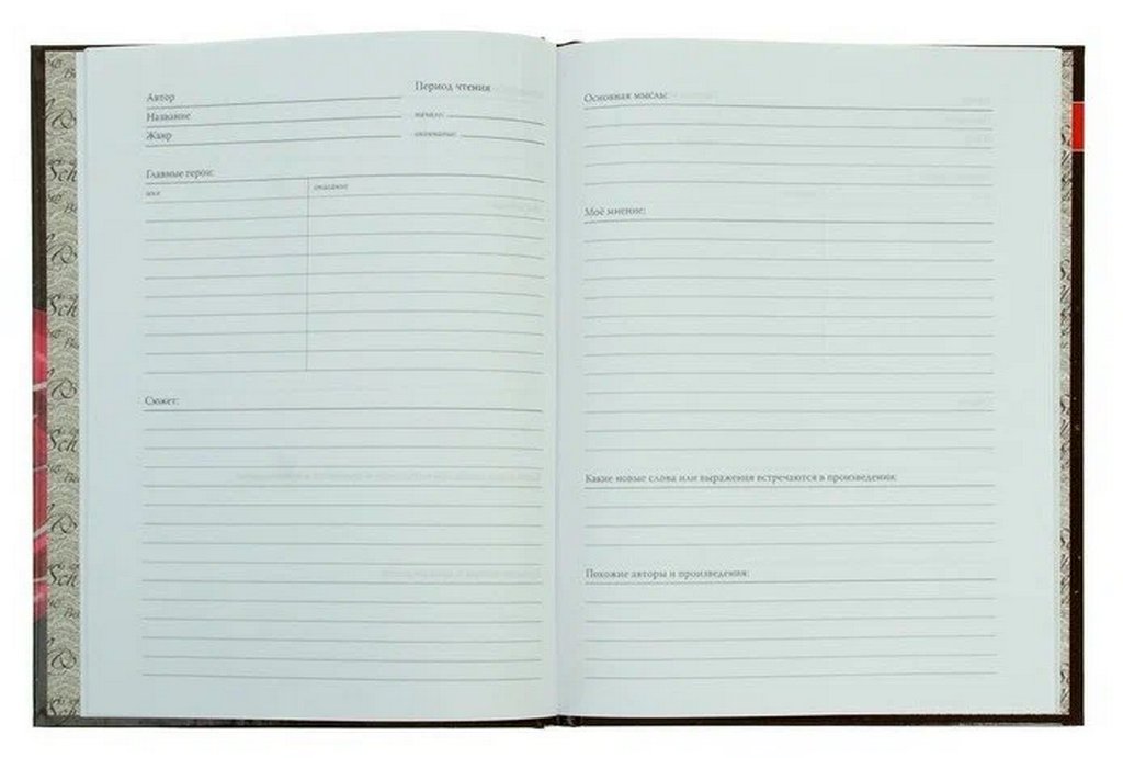 Дневник читательский глянцевая ламинац. "ПОНЧИКИ С ГЛАЗУРЬЮ" 40л. А5