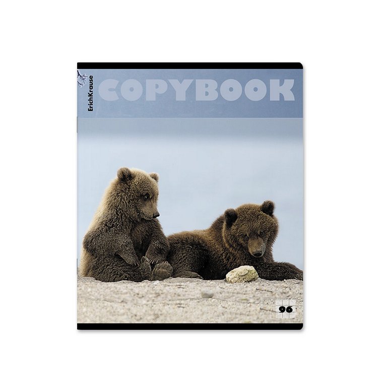 Тетрадь 96 лист кл. А5+ на скрепке "Медведи" 5 видов