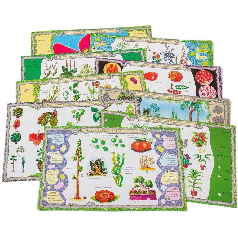 Электровикторина Набор карточек 7-12 лет "Детям о растениях" Дрофа МЕДИА