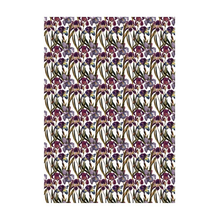 Бумага упаковочная 70*100см  в рулоне "Flora. Ирисы" BrunoVisconti