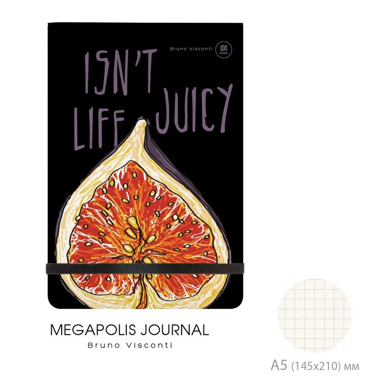 Набор подарочный BrunoVisconti "MEGAPOLIS JOURNAL. JUICY LIFE. Инжир" (Записная книжка + ручка)