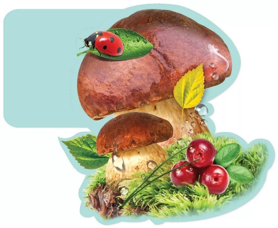 Наклейка оформительская на скотче осенняя 150*150мм "Белый гриб"