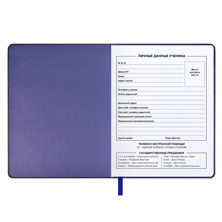 Дневник школьный твердая обложка с поролоном, кожзам, высокий УФ-лак, ляссе "СЭЛФИ" 48л.