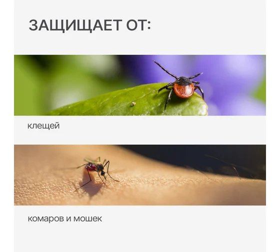Средство от клещей, комаров, мошек аэрозоль 100мл Дэта AQUA