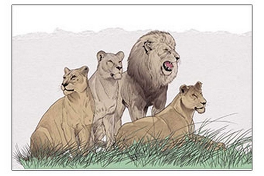 Альбом для рисования А4 20л. на скрепке "ГРИН Animal Planet"