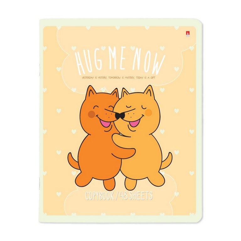 Тетрадь 48 лист кл. А5 на скрепке "ОБНИМАШКИ" 5 ВИДОВ