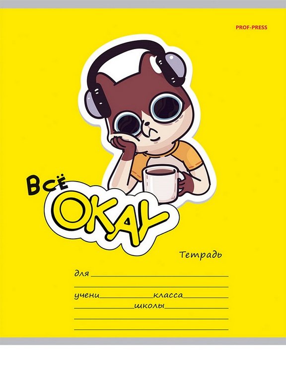 Тетрадь 18 лист кл. А5 "ВСЁ ОКЕЙ" ассорти Prof-Press