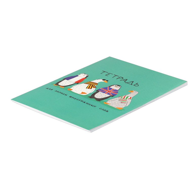 Тетрадь для записи иностранных слов А6  "АРТ-БРАТВА" 32 л.