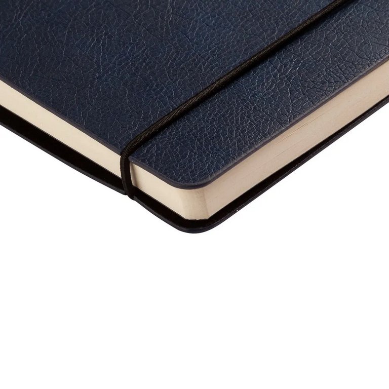 Ежедневник без дат 148*210 мм Bruno Visconti PALERMO, темно-синий